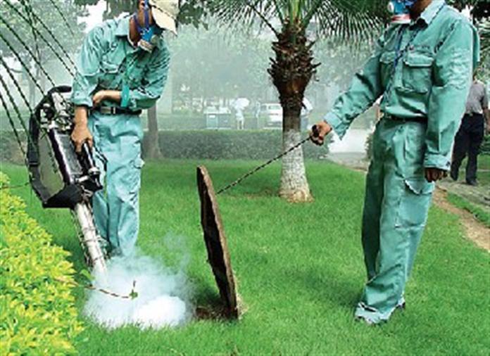 城市下水道除蟲