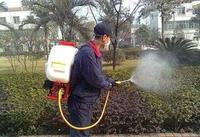 城市綠化帶環境防制