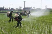 農業有害生物防制現場