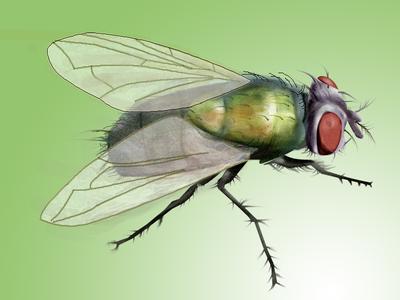 ABUIABACGAAgg_yByQUo5NGWwgUwkAM4rAI